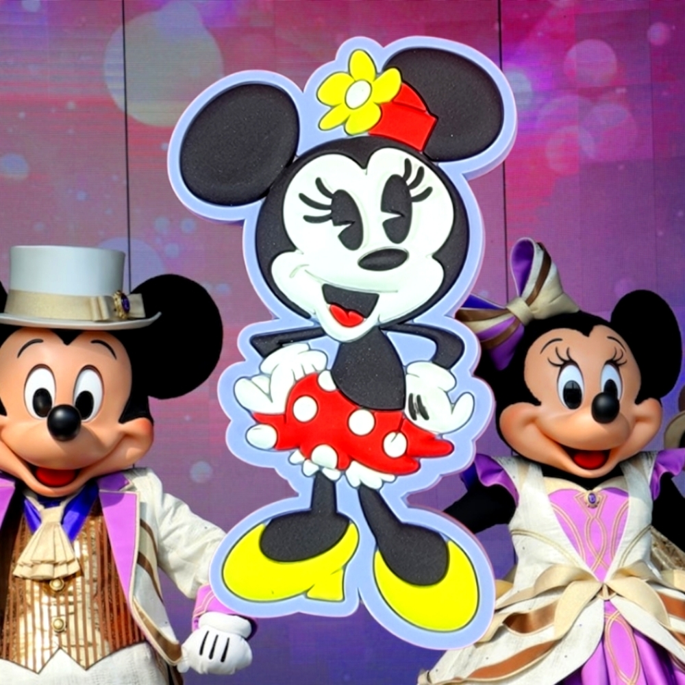 Minnie mouse magnet (nib)